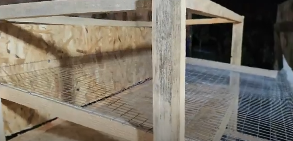Самодельная клетка для перепелов из сетки с наклонным полом